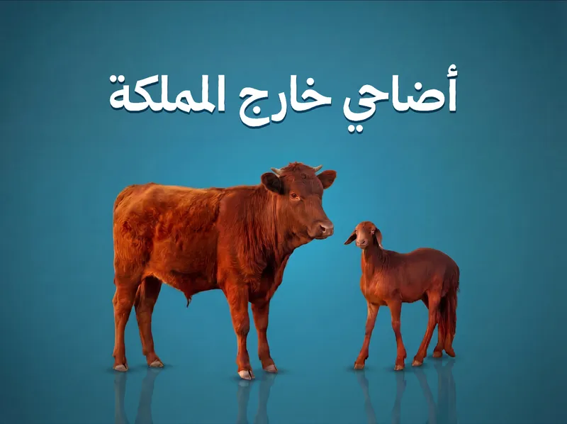 أضاحي خارج المملكة